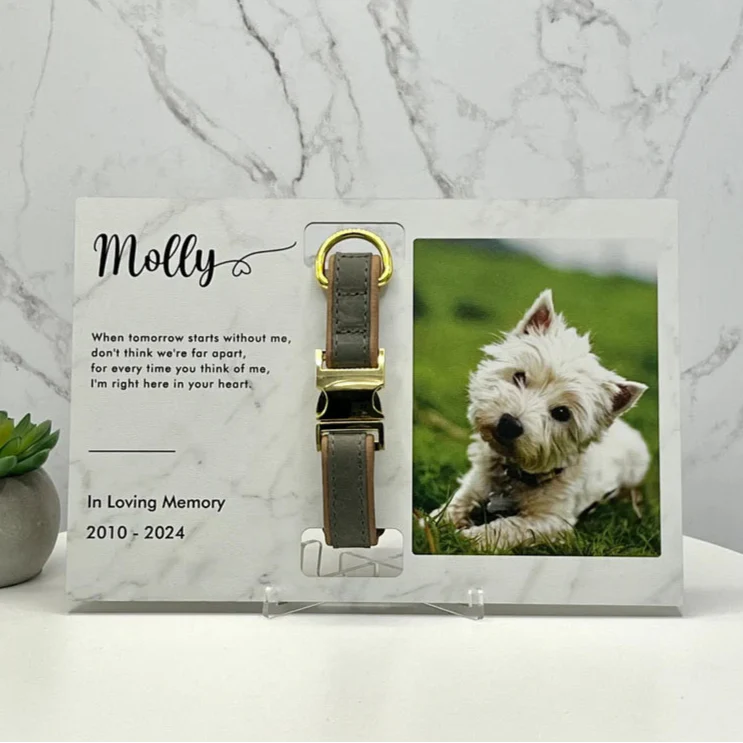 Custom Dog Memorial Collar With Photo