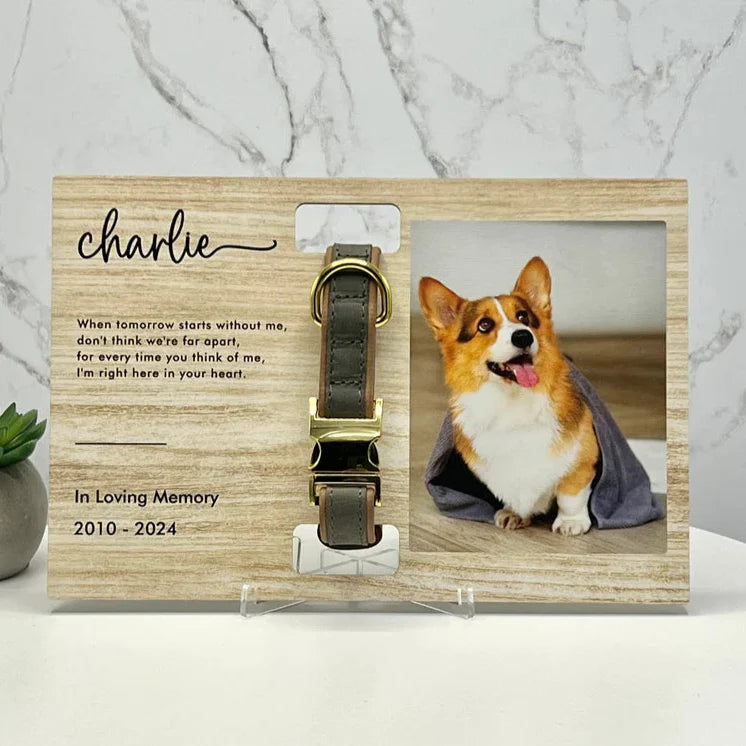 Custom Dog Memorial Collar With Photo