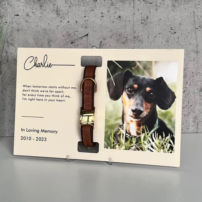 Custom Dog Memorial Collar With Photo