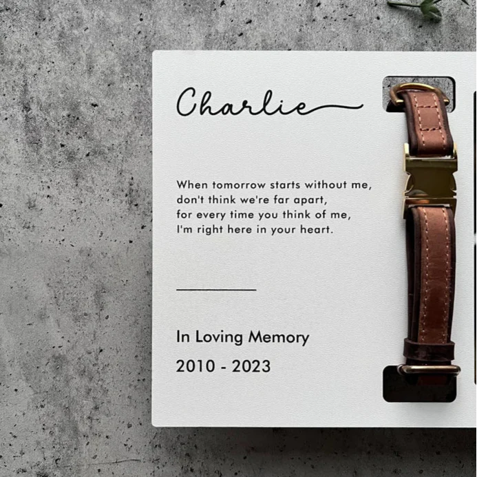 Custom Dog Memorial Collar With Photo