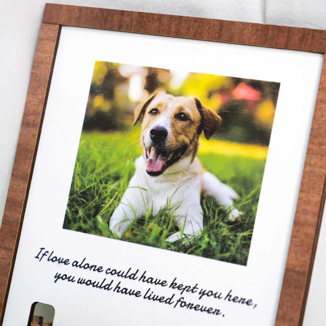 Custom Dog Memorial Collar With Photo