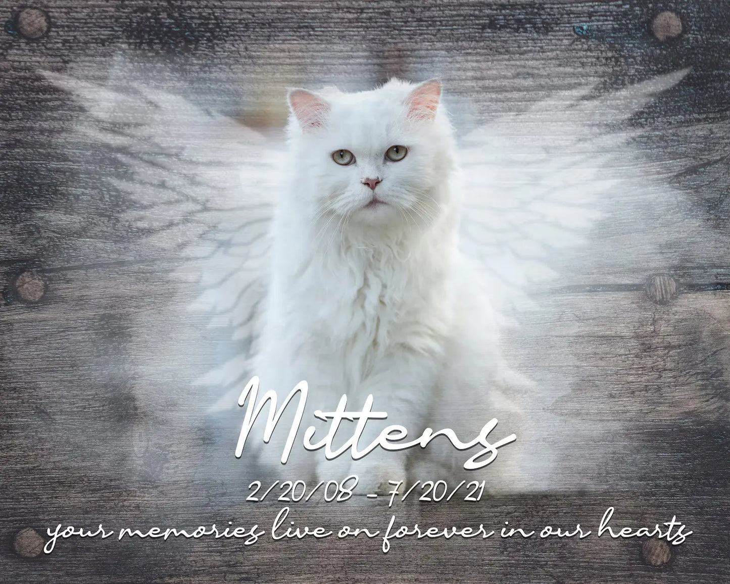 Custom Cat Memorial Canvas | Cat Memorial Gifts