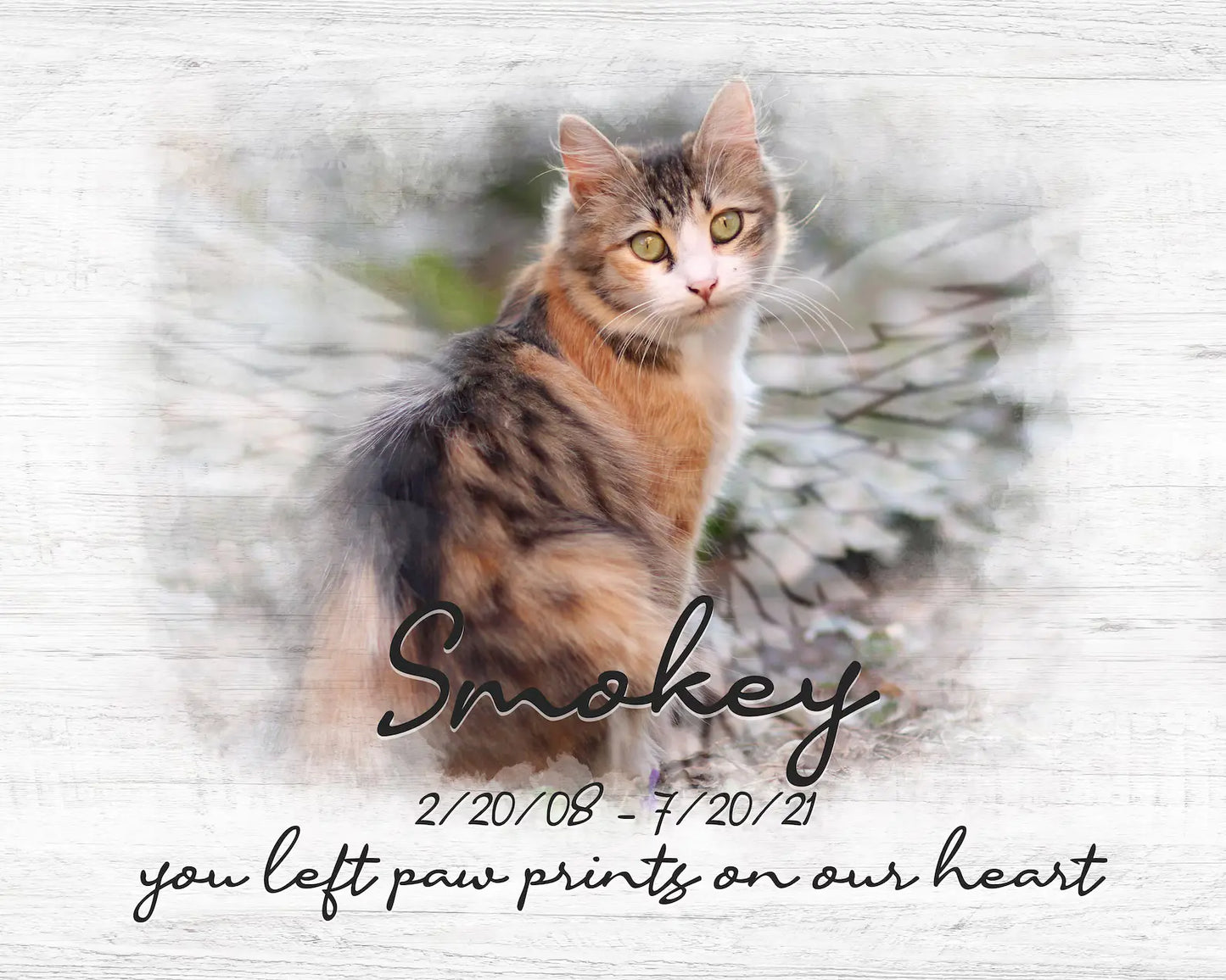 Custom Cat Memorial Canvas | Cat Memorial Gifts
