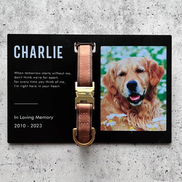 Custom Dog Memorial Collar With Photo