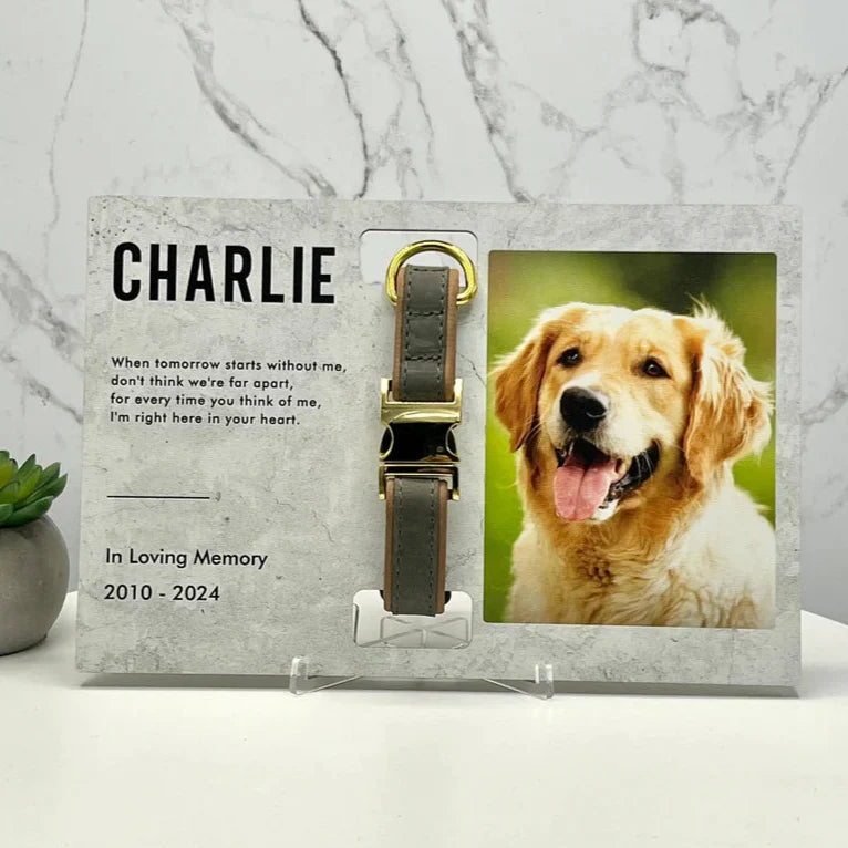 Custom Dog Memorial Collar With Photo
