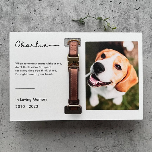 Custom Dog Memorial Collar With Photo