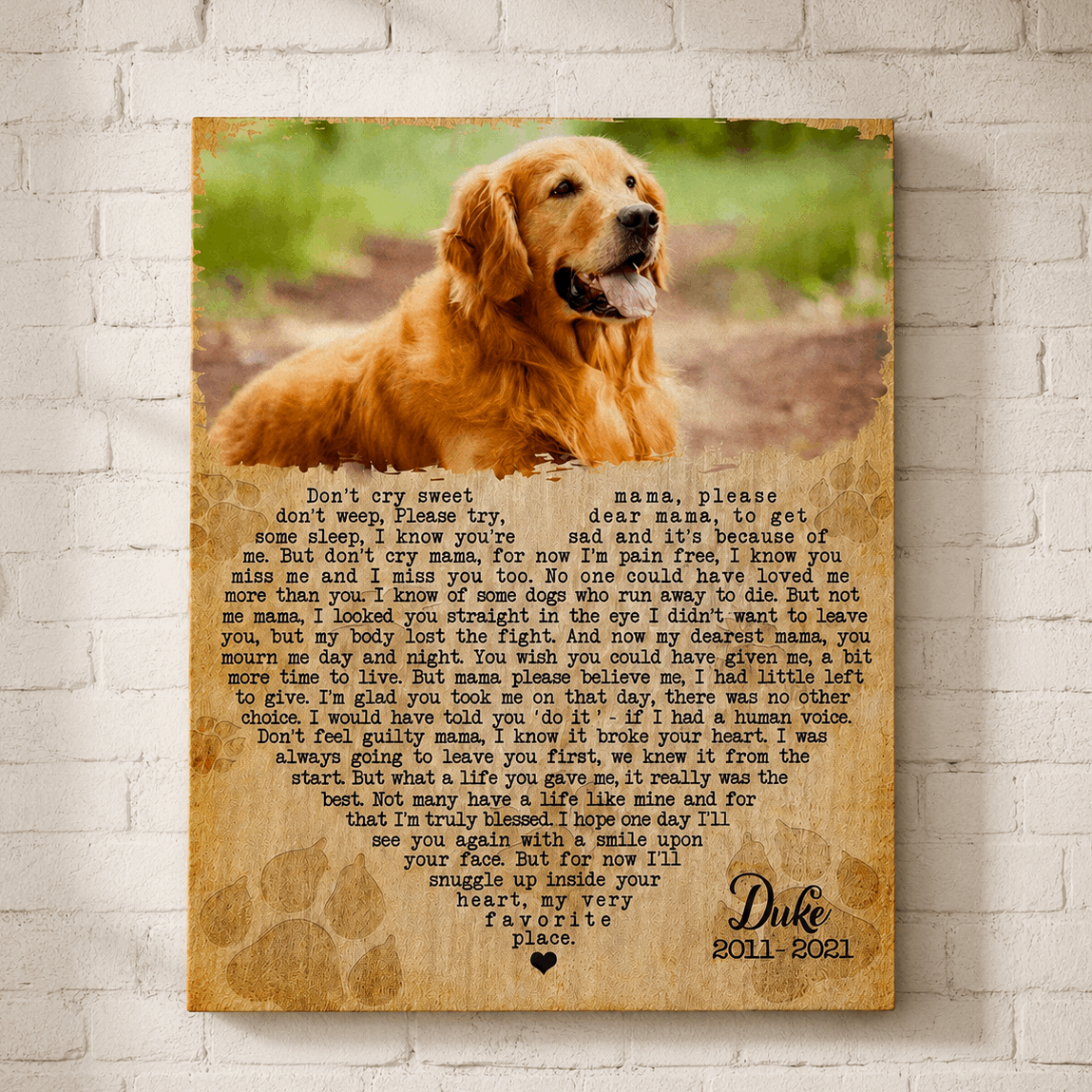 Don't Cry Sweet Mama Dog Poem