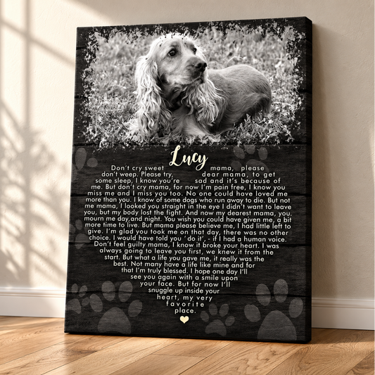 Don't Cry Sweet Mama Dog Poem 