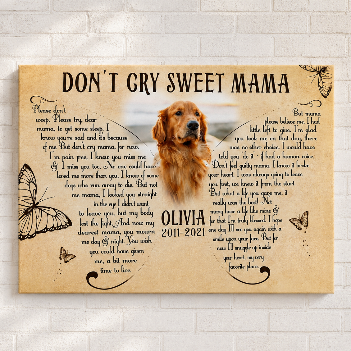 Don't Cry Sweet Mama Dog Poem