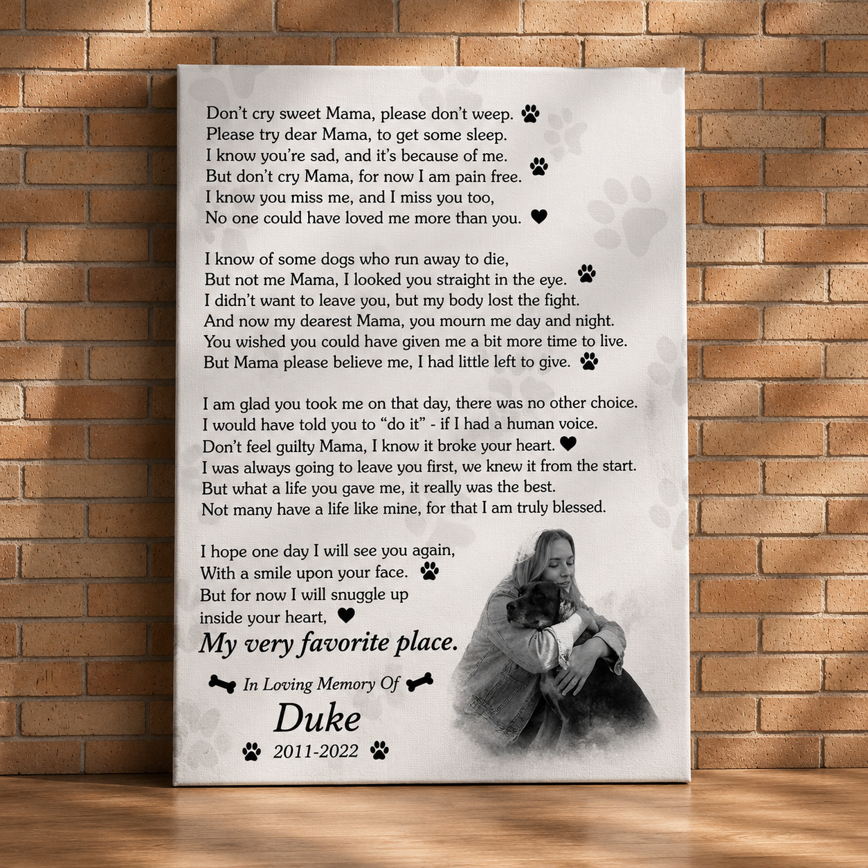Don't Cry Sweet Mama Dog Poem
