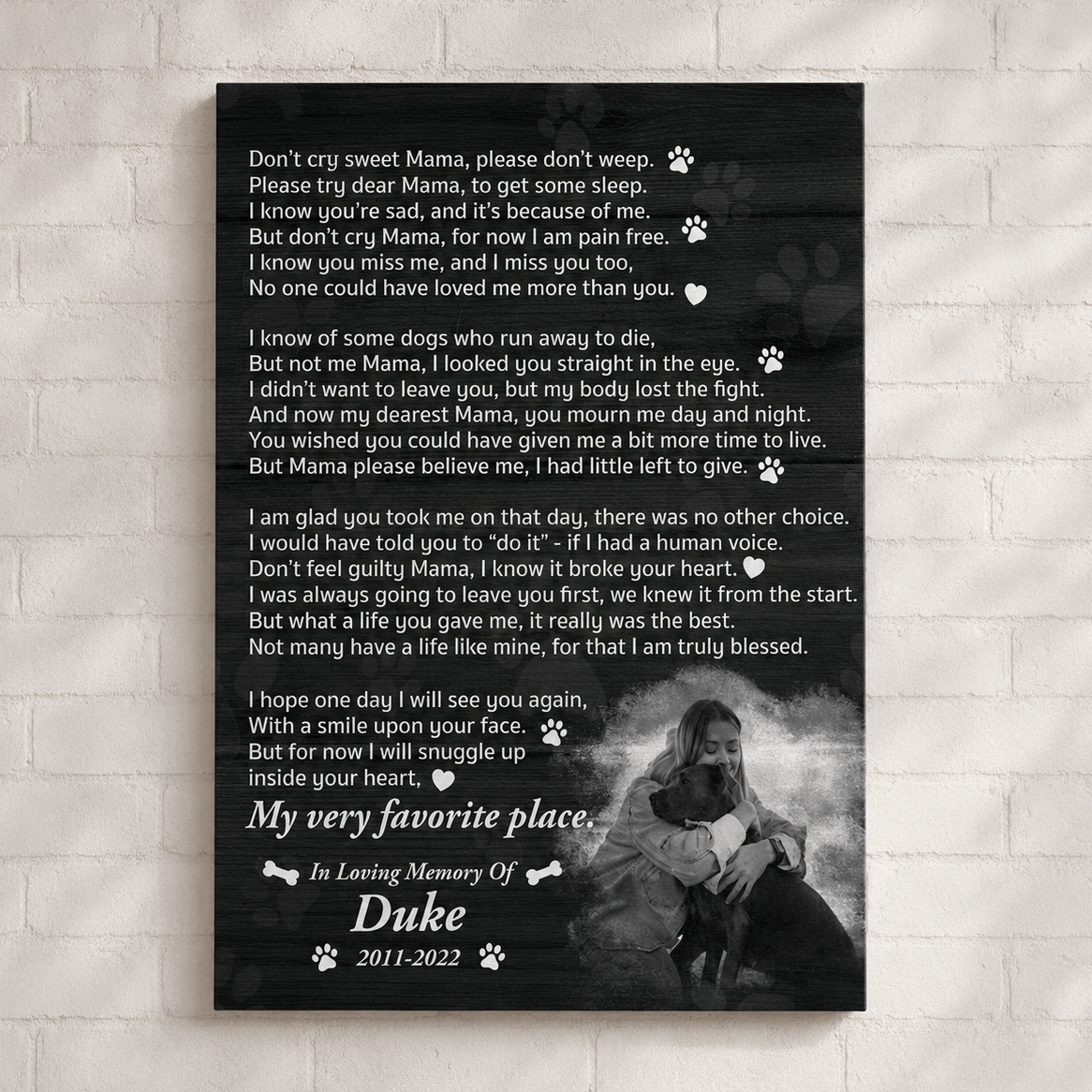 Don't Cry Sweet Mama Dog Poem