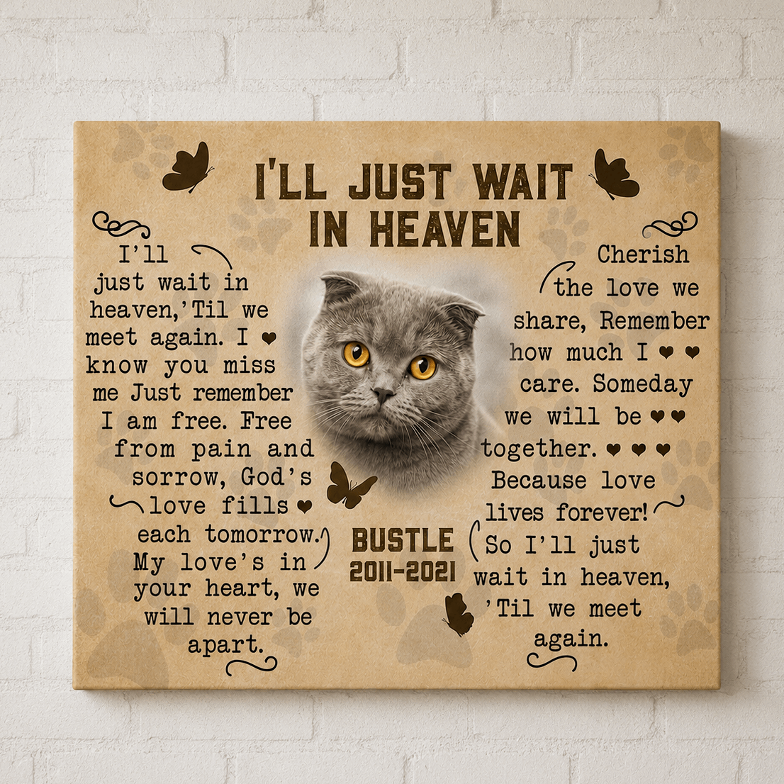 I'll Just Wait In Heaven Cat Poem 