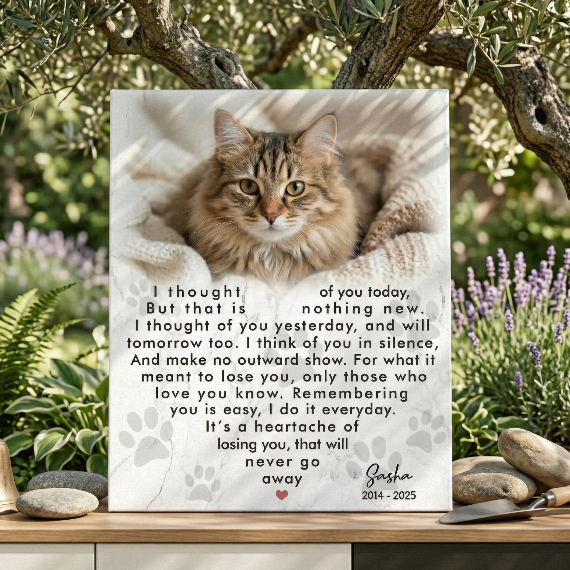 I Thought Of You Today Poem Cat Memorial Canvas Cat Memorial Gifts