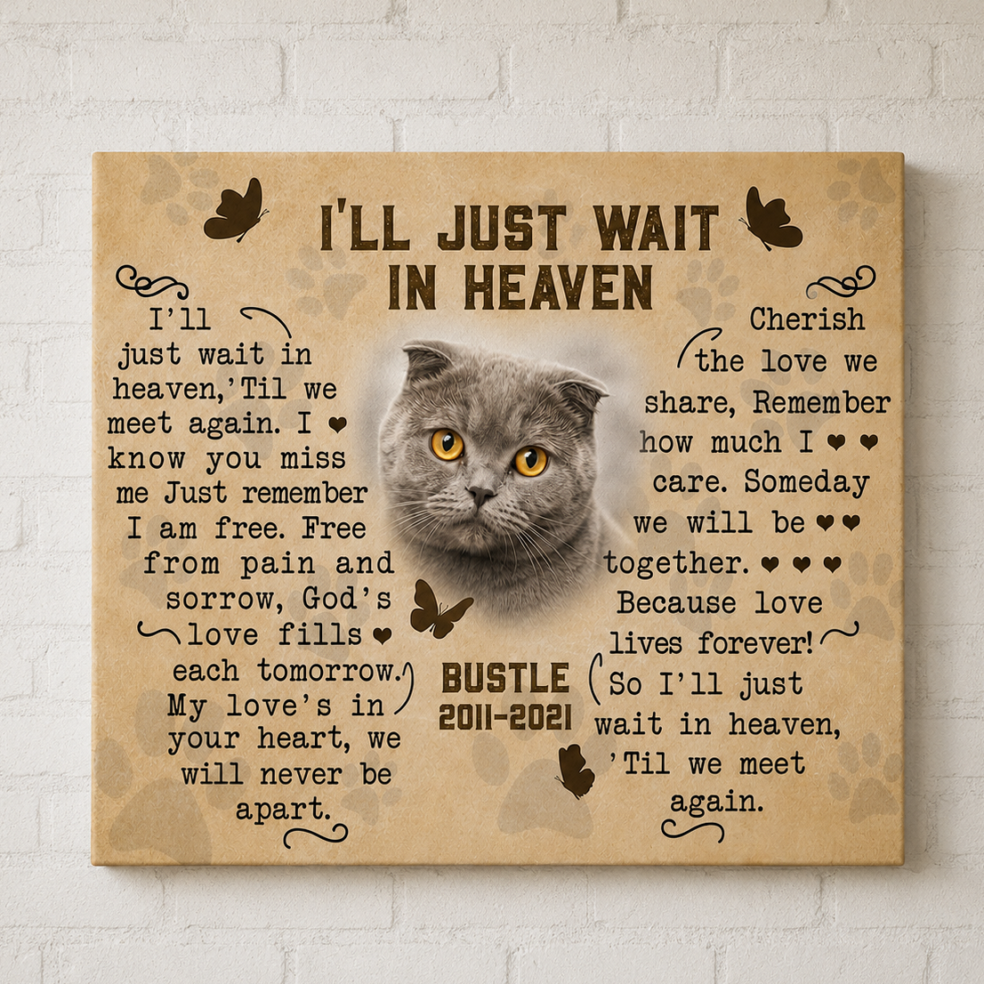 I'll Just Wait In Heaven Cat Poem 