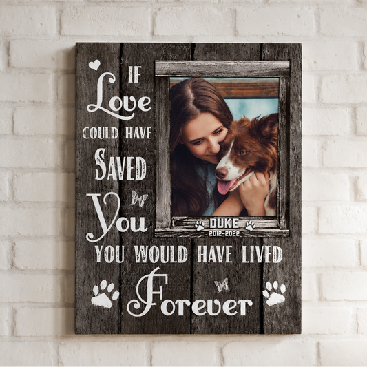 If Love Could Have Saved You 