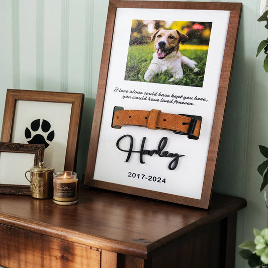 Custom Dog Memorial Collar With Photo