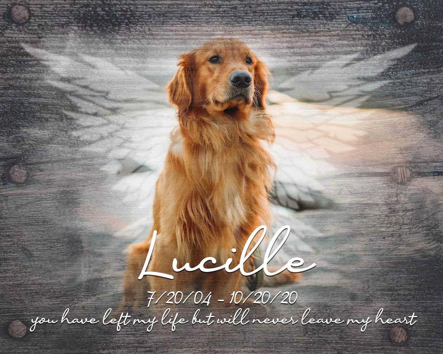 Sometimes A Very Special Dog Enters Our Lives Losing Dog Quote | Custom Dog Memorial Canvas Print