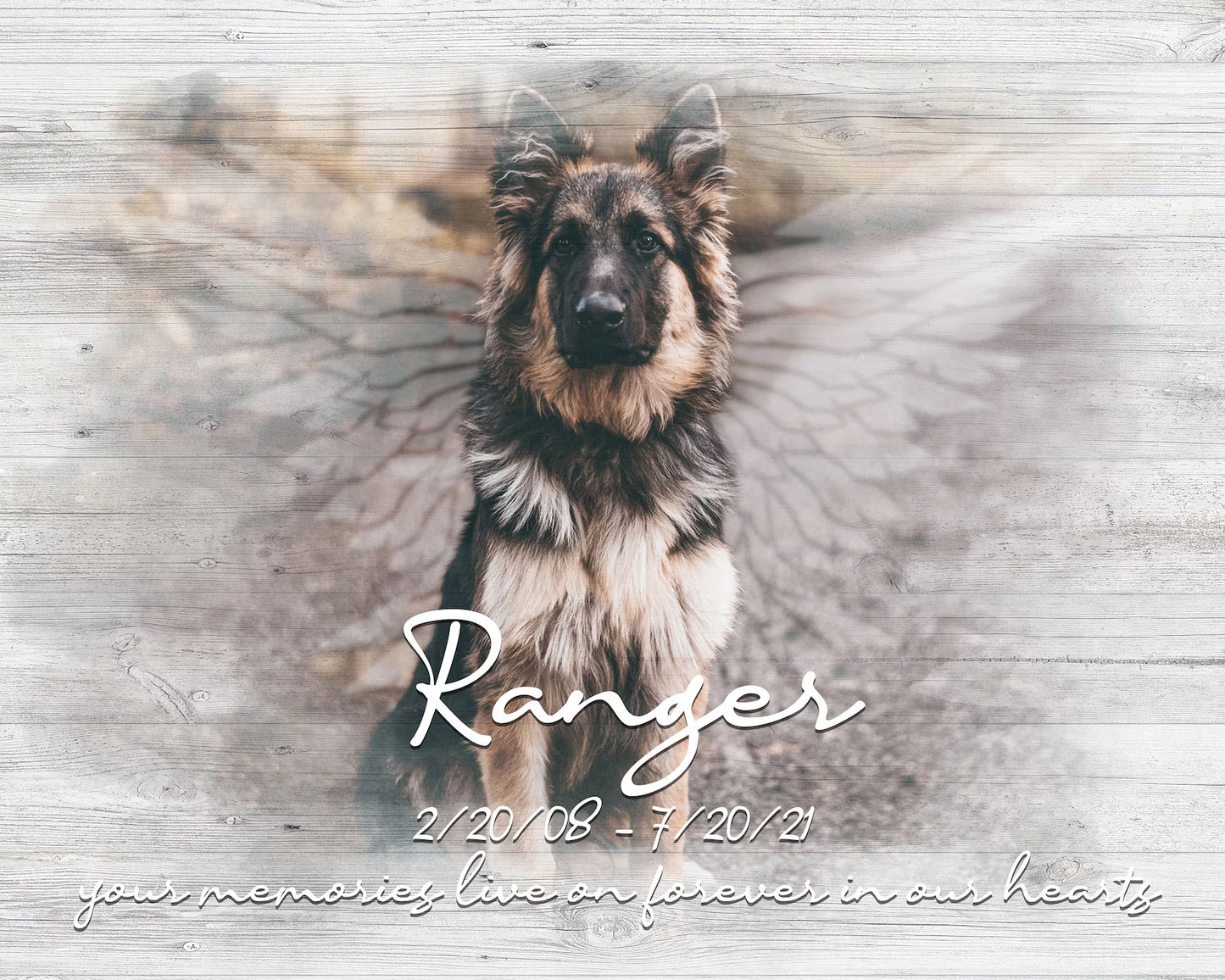 Sometimes A Very Special Dog Enters Our Lives Losing Dog Quote | Custom Dog Memorial Canvas Print