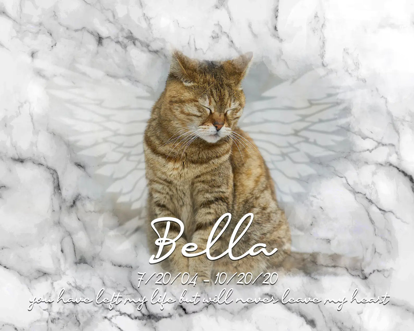 Custom Cat Memorial Canvas | Cat Memorial Gifts